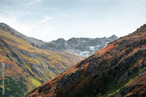 Albula Alps - view from Fluellapass. Grippa Naira peak in the background. Early autumn in Swiss alps.  photo