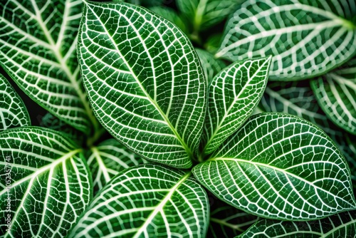 Lush Green Foliage with White Veins in Nature photo