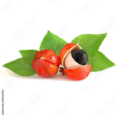 guarana brazilian traditional fruit