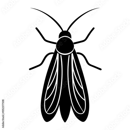 caddisfly on white