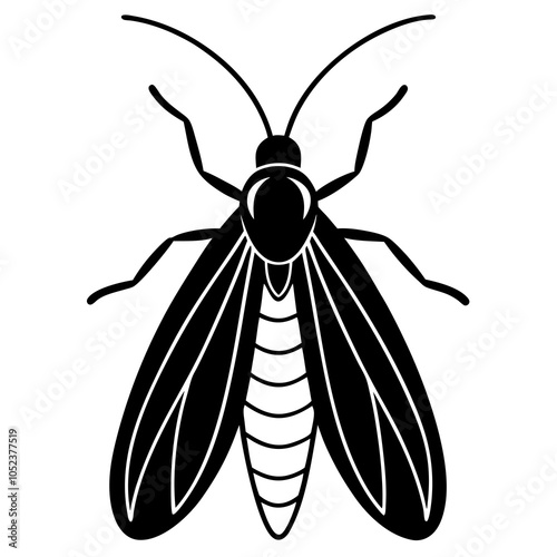 caddisfly on white