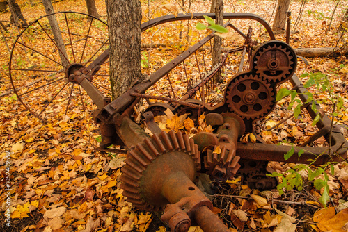 Fotografía Trees growing around abandoned hay rake within Pike Lake Unit, Kettle Moraine St