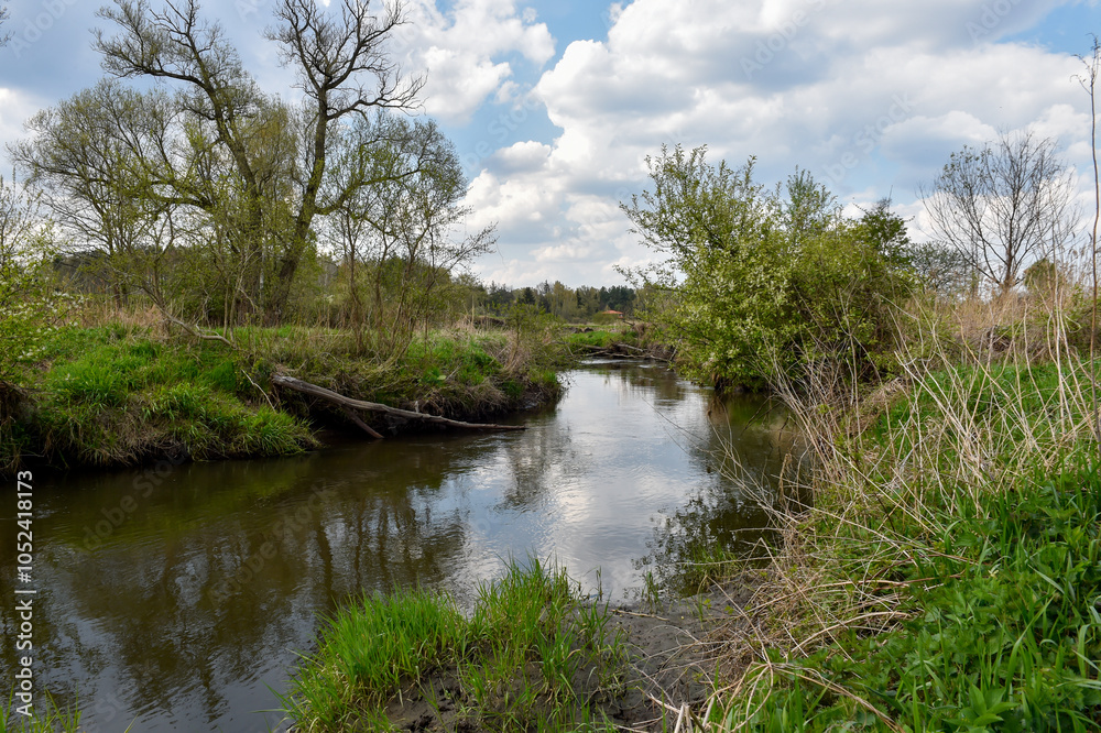Fallen Trees Over Calm River in Lush Spring Forest Landscape Fallen Trees Over Calm River in Lush Spring Forest Landscape