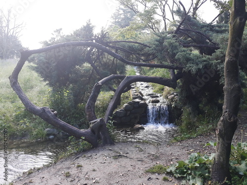 piccola cascata nel bosco