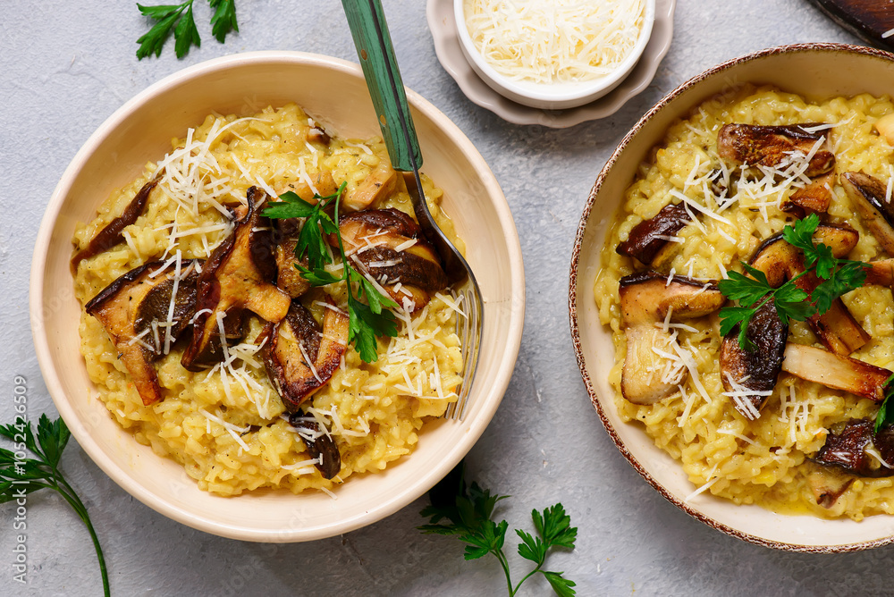 Risotto with wild porcini mushrooms.top veiw.style rustic Risotto with wild porcini mushrooms.top veiw.style rustic