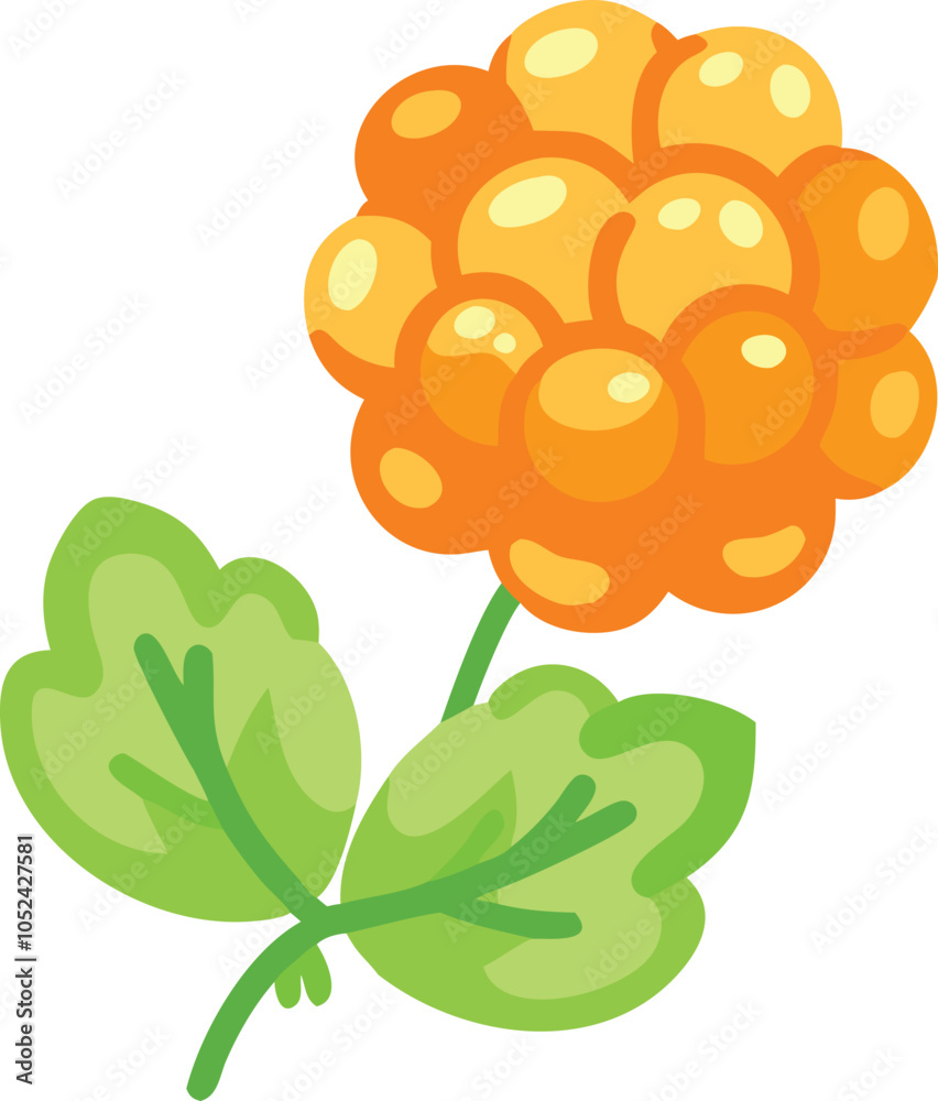 Illustration of cloudberry with green leaf, Vector illustration of cloudberry clustered together with a green leaf, showcasing a simple, minimalistic design. Illustration of cloudberry with green leaf, Vector illustration of cloudberry clustered together with a green leaf, showcasing a simple, minimalistic design.