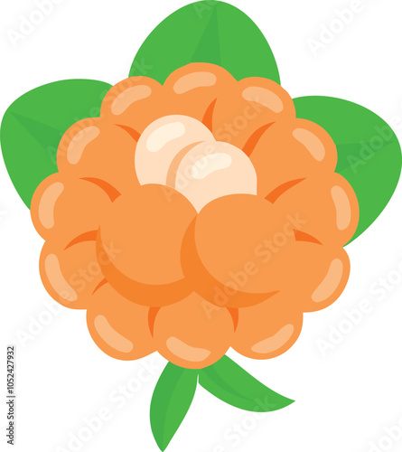 Illustration of cloudberry with green leaf, Vector illustration of cloudberry clustered together with a green leaf, showcasing a simple, minimalistic design. 