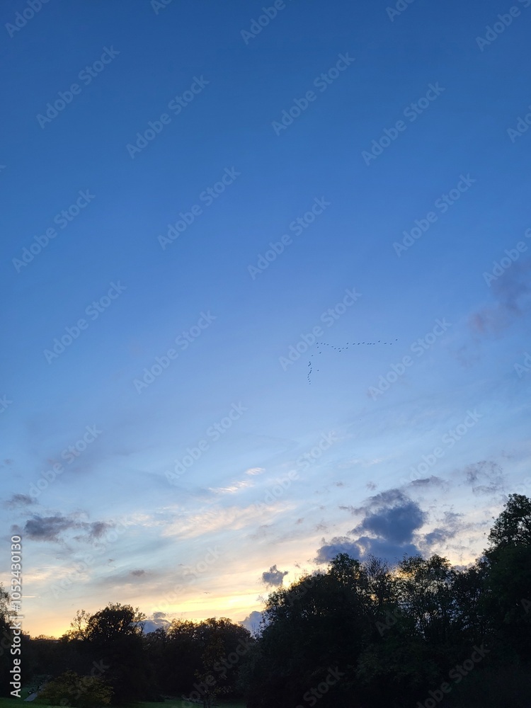 Fototapeta premium Enfield evening