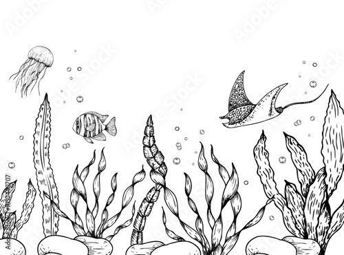 Vector seabed. Jellyfish, tropical fish, stingray, pebbles stones, algae, corals, bubbles. Hand painted line seaweed, laminaria. Graphic rock clip art isolated on background. Underwater illustration
