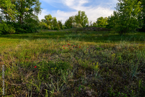 Idyllische Natur-Landschaft in der Dobrudscha - Durankulak, Bulgarien photo