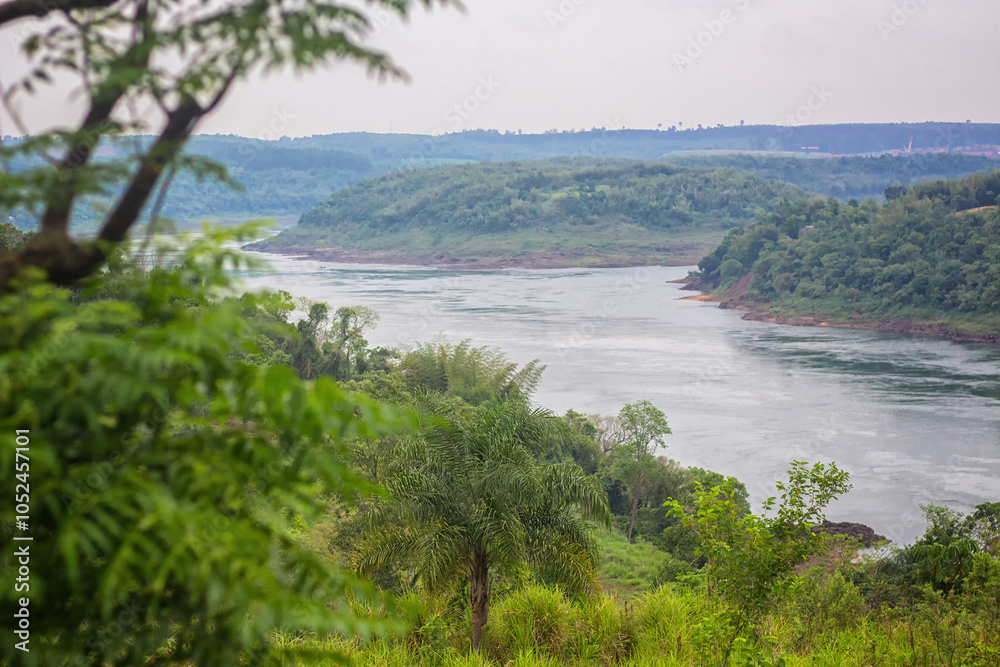 Trees on the shore of a river, Misiones, Argentina Trees on the shore of a river, Misiones, Argentina