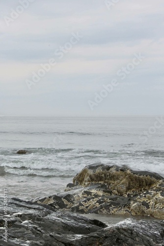 sea and rocks