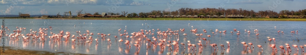 Naklejka premium Kenia in Ostafrika - Lake Amboseli im Amboseli National Park