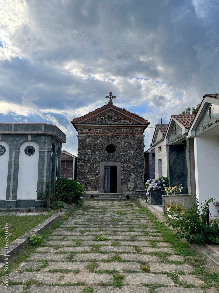 Fototapeta premium house in the village