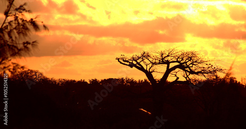 Sunrise or Sunset in Kenya (East Africa) photo