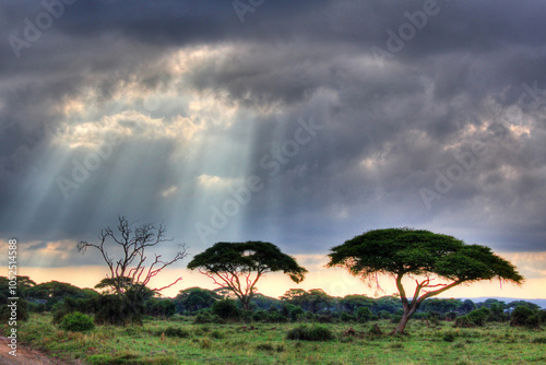 Sunrise or Sunset in Kenya (East Africa) photo