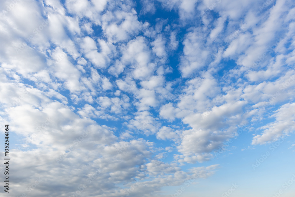 Obraz premium 高積雲 叢雲 羊雲