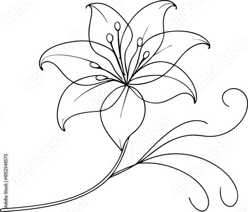 Beautiful Lily in One Line Minimalist Flower Illustration