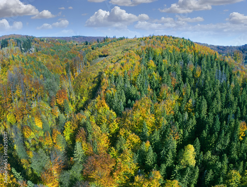 Obraz na płótnie Colorful autumn forests in the mountains - Silesian or Tesin Beskydy, northeastern Czech Republic, Moravia w salonie