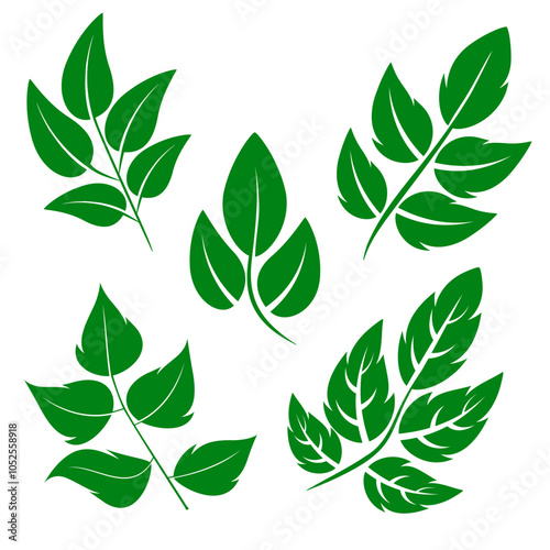 Different green leaves of trees and plants, leaf and swirls branches shapes collection. Stock vector icons isolated white background. Elements for ecographic, natural design, vegan logo, bio labels photo