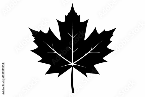 Canadian maple leaf black silhouette vector, maple leaf icon