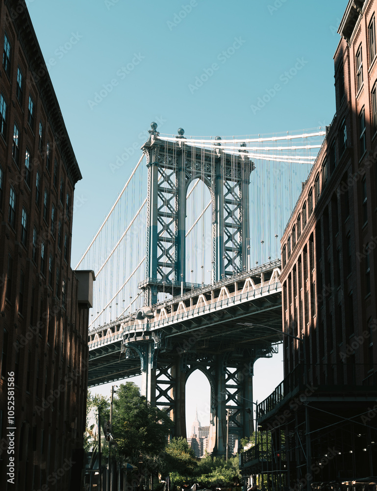 Fototapeta premium Brooklyn bridge