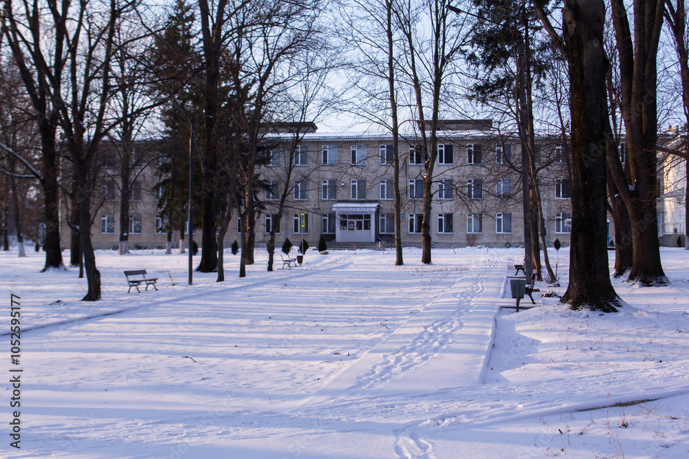 Winter landscape in the rays of the setting sun. City park.