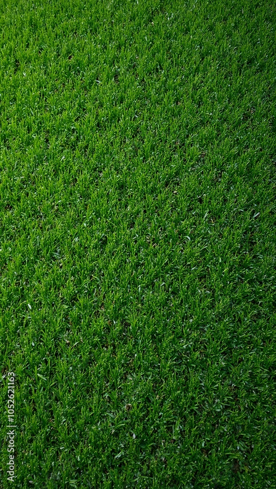 Obraz premium Vibrant green artificial turf field with short even blades for a pristine look