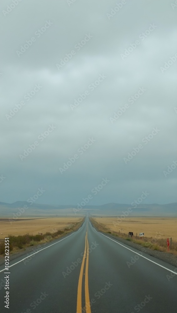 Fototapeta premium Endless road across open plain under cloudy sky