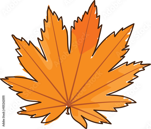 Illustration of an autumn leaf from a tree in orange isolated on a white background.Illustration in ink hand drawn style.