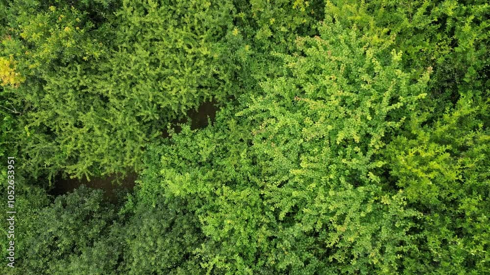 Aerial scenic view of a lush greenery on the shore of Roadford Lake at sunset time with cloudy sky Aerial scenic view of a lush greenery on the shore of Roadford Lake at sunset time with cloudy sky