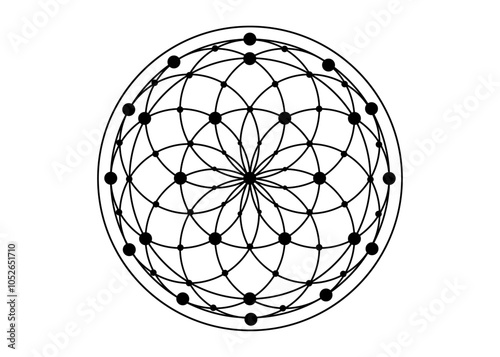 seed and flower of life black line color vector for background logo icon 