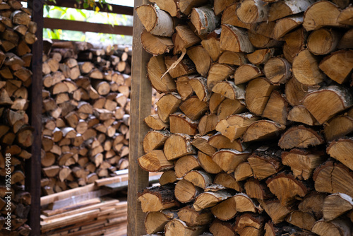 firewood, stored for the winter under the wall.