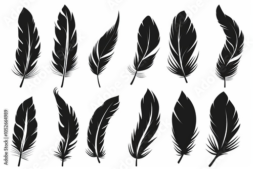 Feather icon, animal feathers isolated, black plume symbol, minimal plume silhouette on white