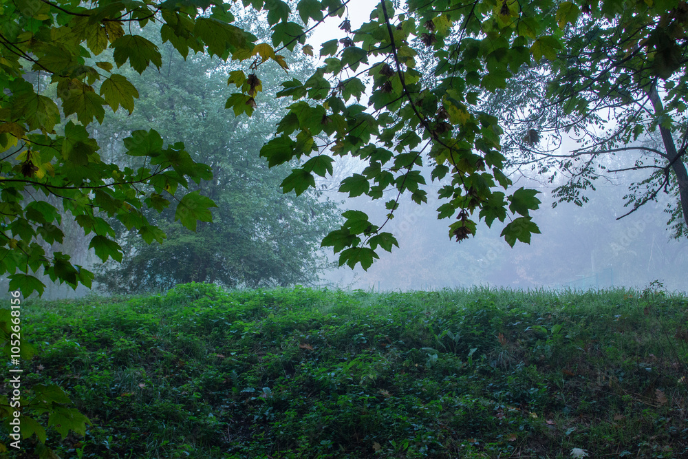 Autumn in Moldova, foggy landscape in the park. Thick fog early in the morning on the lake shore.