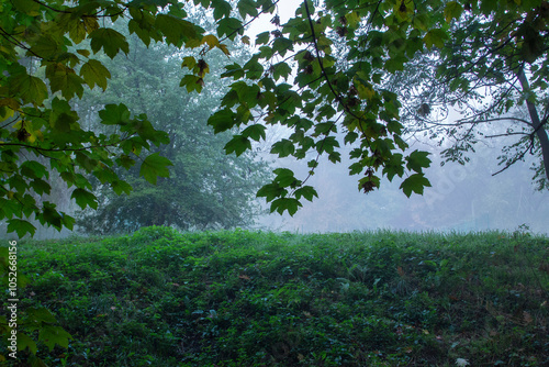 Obraz na płótnie Autumn in Moldova, foggy landscape in the park. Thick fog early in the morning on the lake shore. w salonie