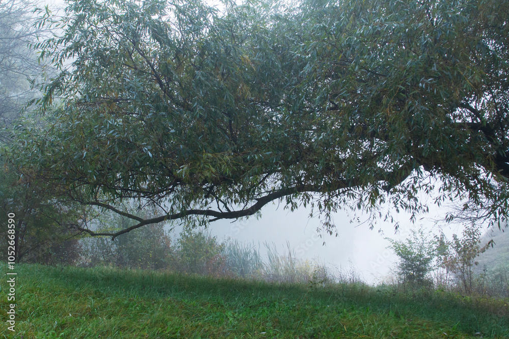 Autumn in Moldova, foggy landscape in the park. Thick fog early in the morning on the lake shore.