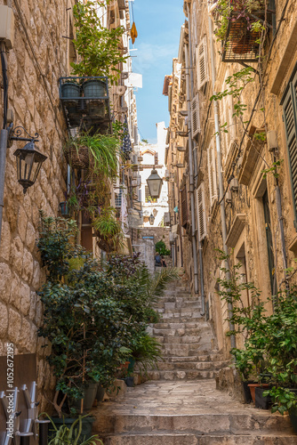 Fototapeta Naklejka Na Ścianę i Meble -  Narrow street in the old medieval town of mediterranean country full of green flowers