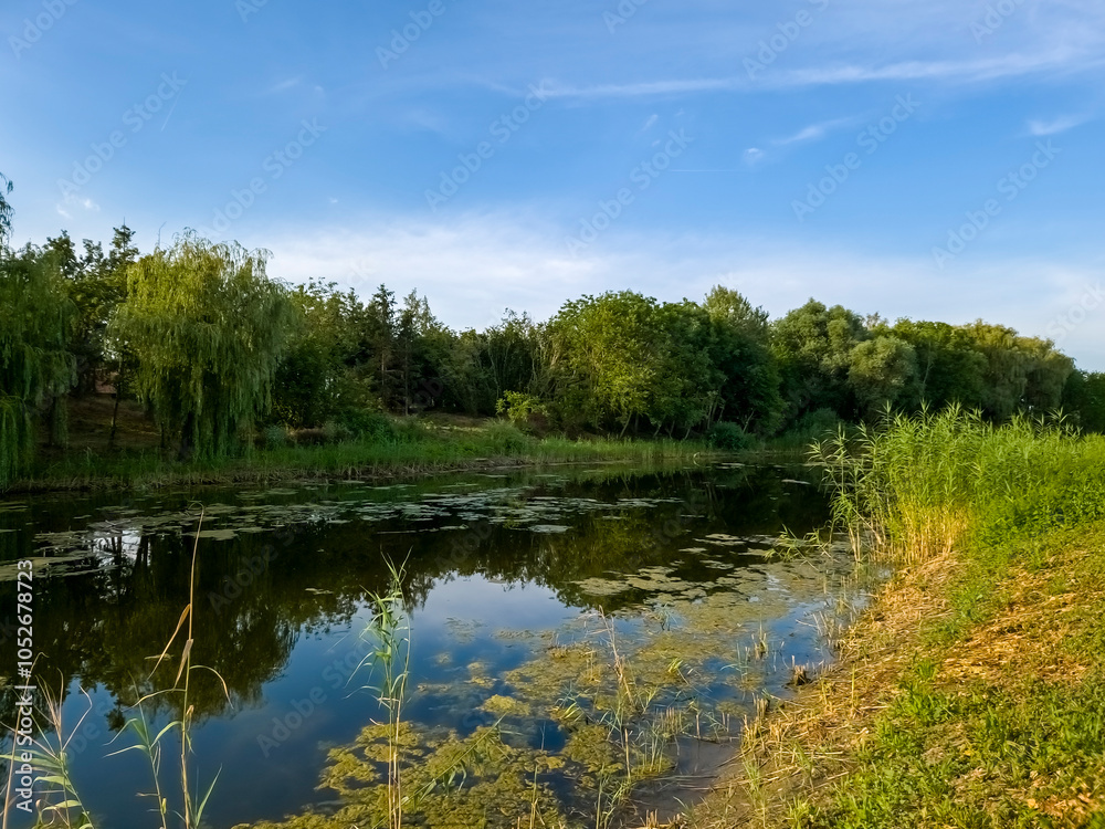 Obraz premium Backwater of Tisza river near Szeged