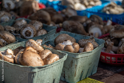 Closeup of a basket of mushrooms at a farmer's market
