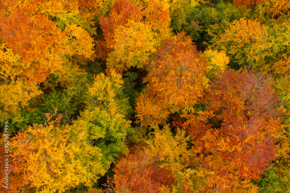 Aerial top down view about autumn colored trees at Lillafured, Hungary. Aerial top down view about autumn colored trees at Lillafured, Hungary.