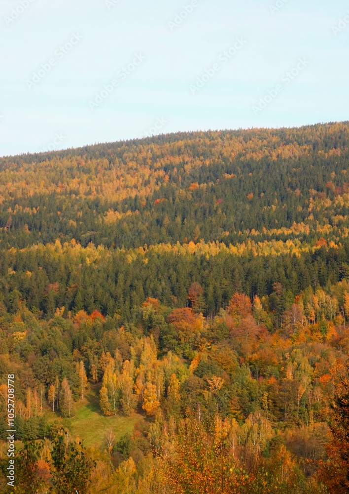 Fototapeta premium autumn in the mountains