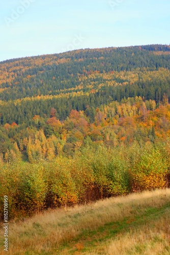 autumn in the mountains