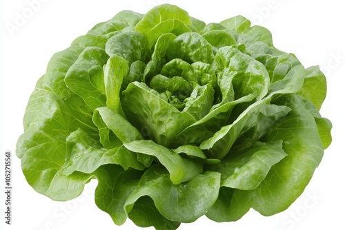 Wallpaper Mural A vibrant head of fresh romaine lettuce sits alone against a clean white background, showcasing its crisp leaves and rich green color. Perfect for salads or healthy dishes. Torontodigital.ca