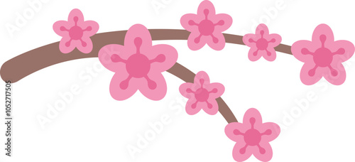 Branch of cherry tree is blossoming with pink flowers on a white background