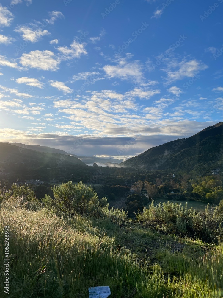 Naklejka premium landscape with sky