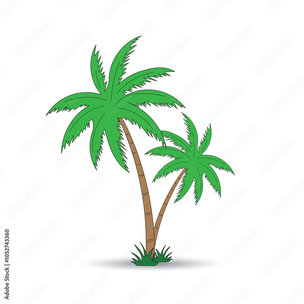 Obraz premium palm tree isolated on white background , Design of palm trees for education poster vector illustration