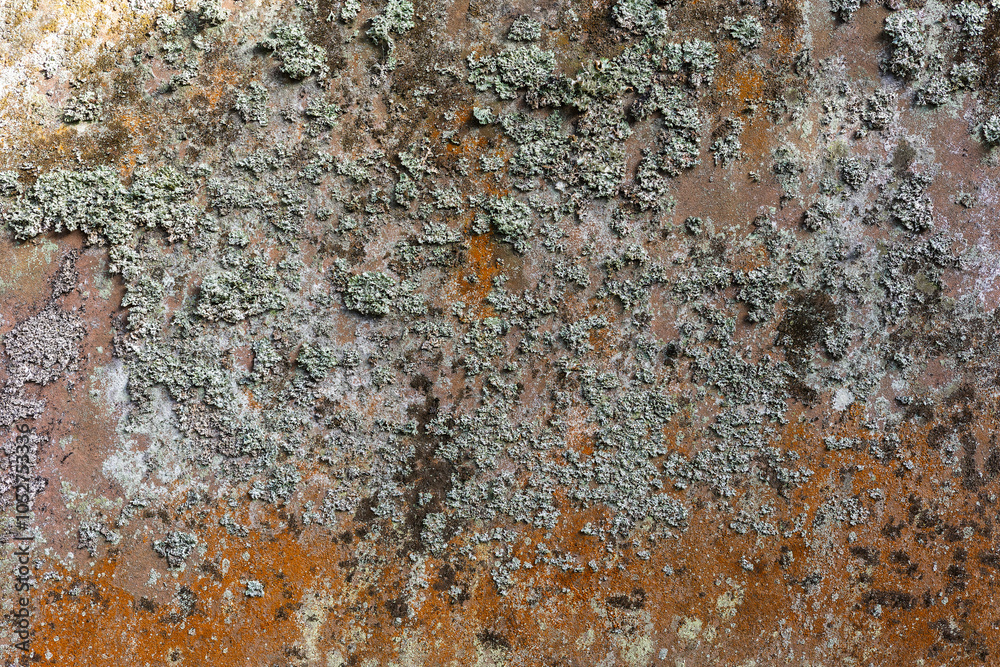 Green and yellow moss and lichen covered grave tomb stone texture Green and yellow moss and lichen covered grave tomb stone texture