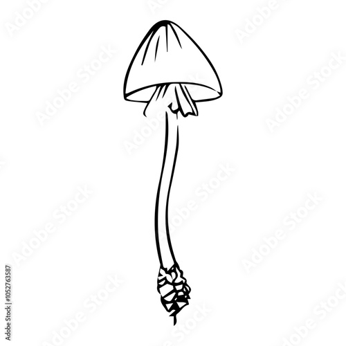 Forest mushroom illustration. A detailed doodle-style illustration of forest mushrooms with playful, hand-drawn lines and organic shapes