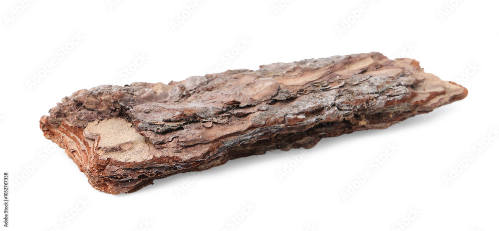 One piece of tree bark on white background One piece of tree bark on white background